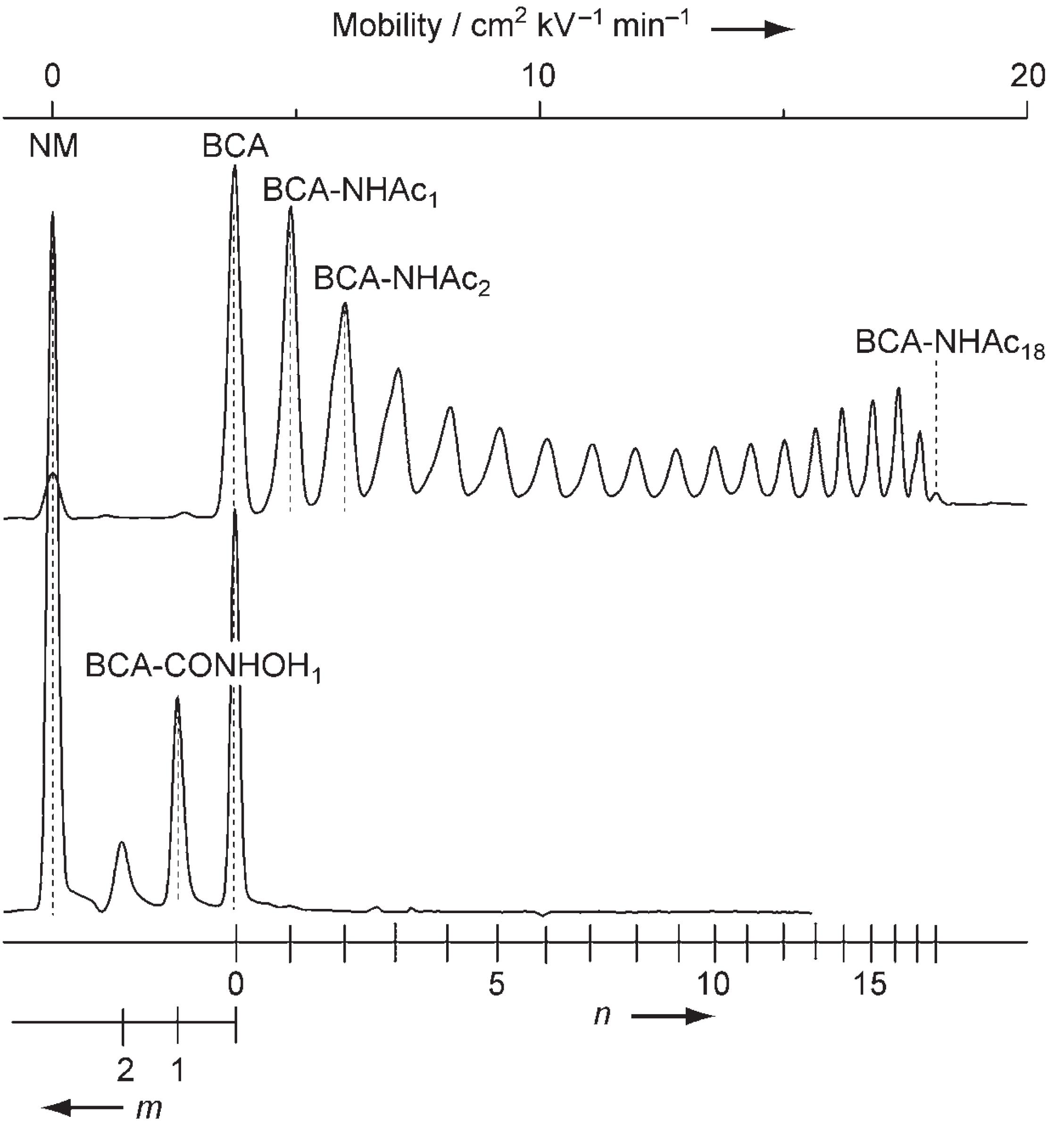 Biophysics Fig4