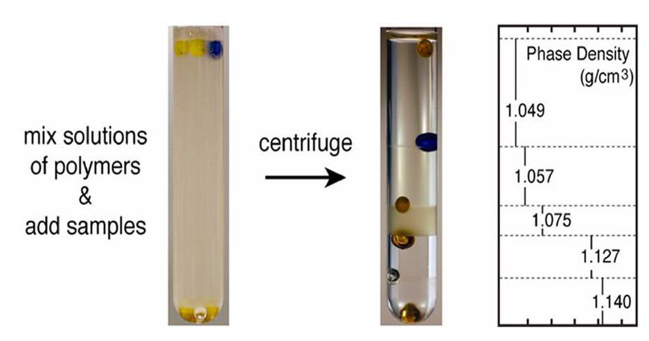 Density as a Tool for Chemistry and Biology | Whitesides Research Group