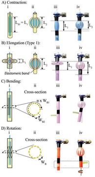Soft-Robotics-Fig14