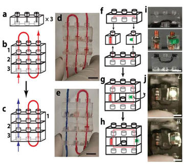 Soft-Robotics-Fig18