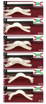 Soft-Robotics-Fig2