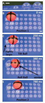 Soft-Robotics-Fig5