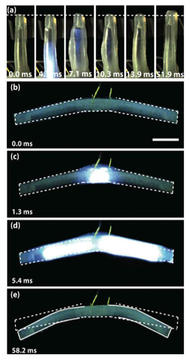 Soft-Robotics-Fig6