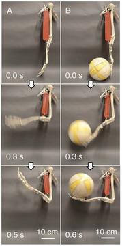 Soft-Robotics-Fig9