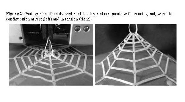 Figure2
