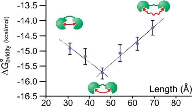 Biophysics Fig5