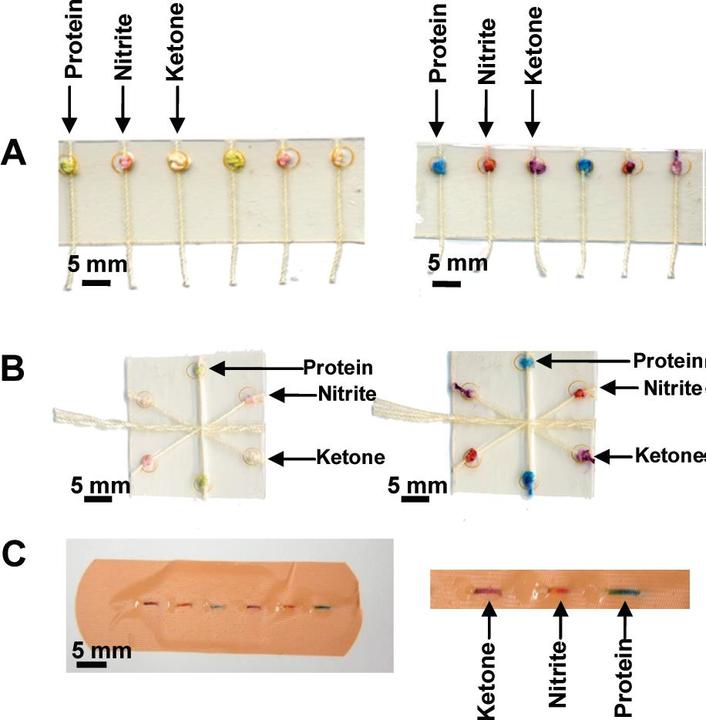 Figure3-Colormetric-assays