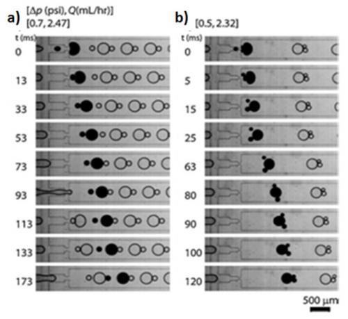 Dissipative Systems-Fig3