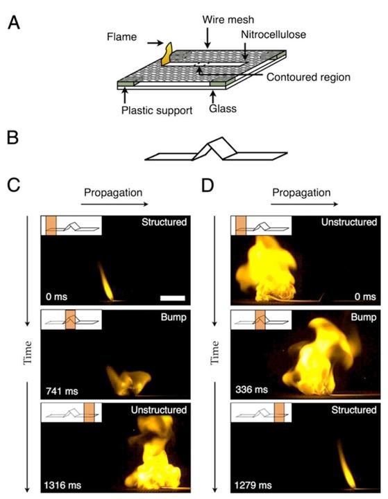 Flames Fig 1