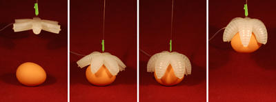 Soft-Robotics-Fig1