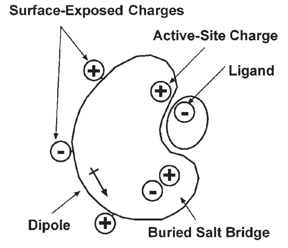 Biophysics Fig3