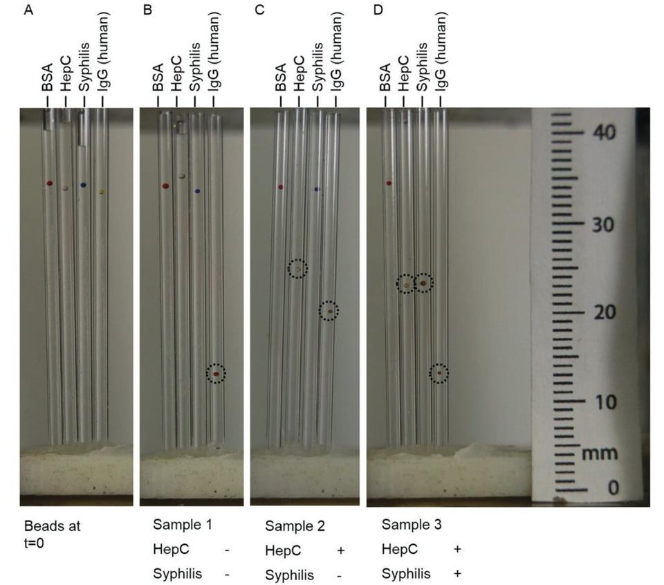 Figure18-multiplexed-immunoassay