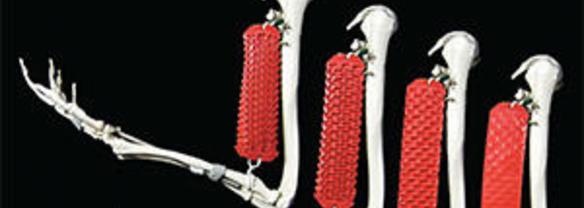 Advanced Functional Materials