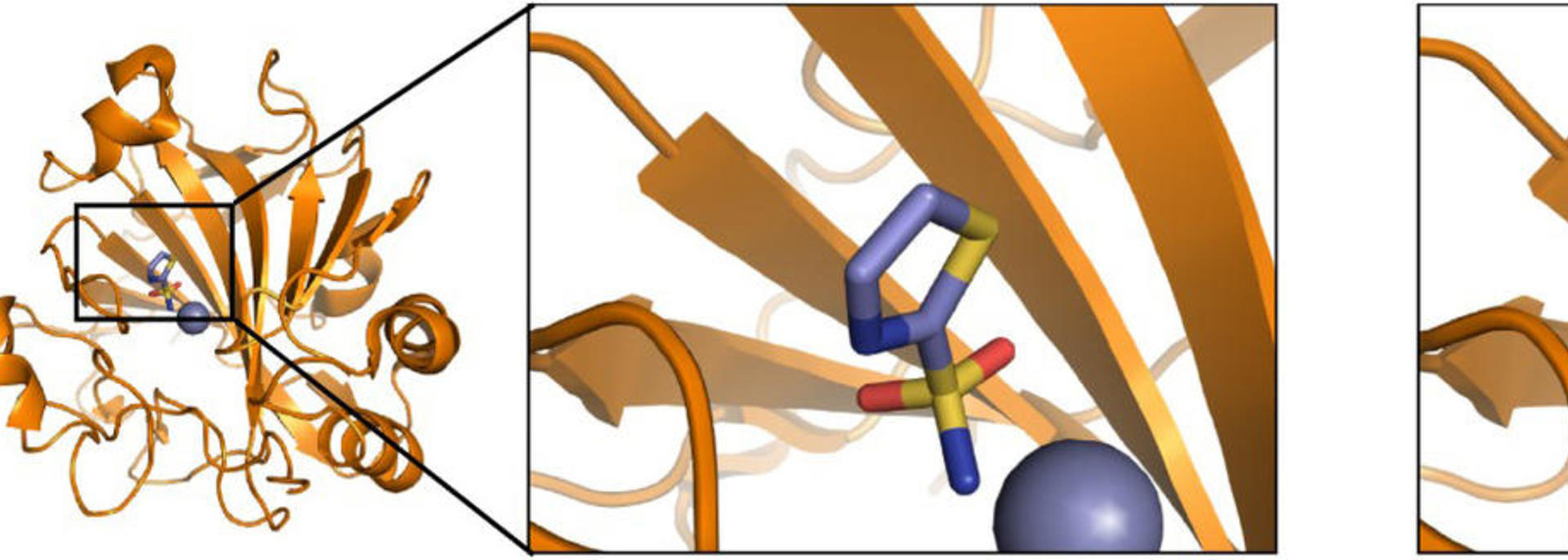 Biophysics