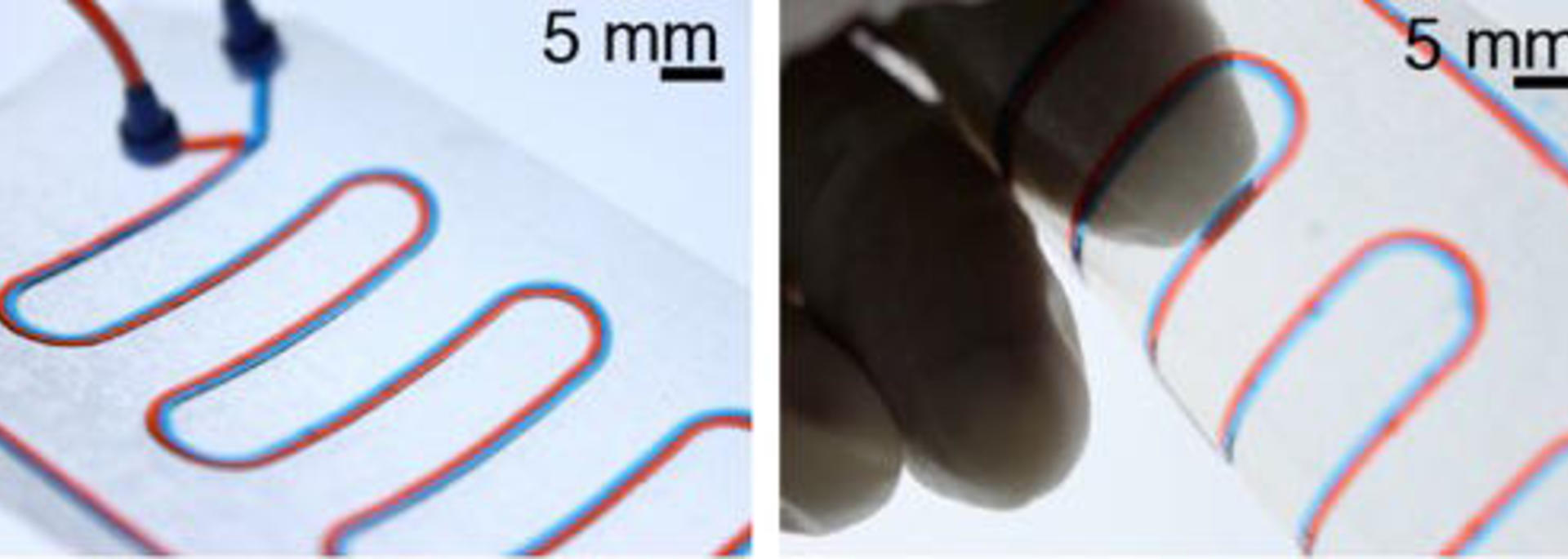 Microfluidics